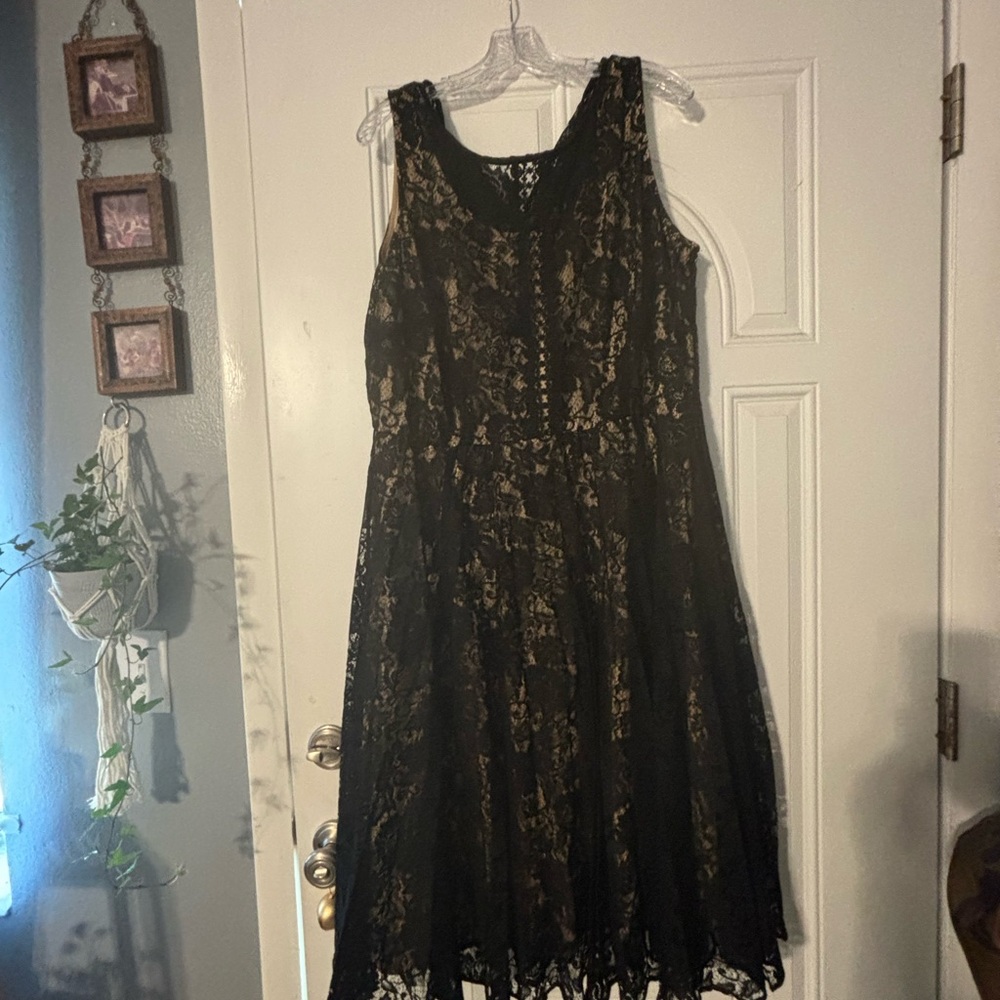 Lane Bryant tea length black lace dress size 20W